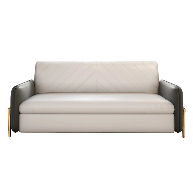 67 in. Width Modern Pull Out Queen Size Sofa Bed