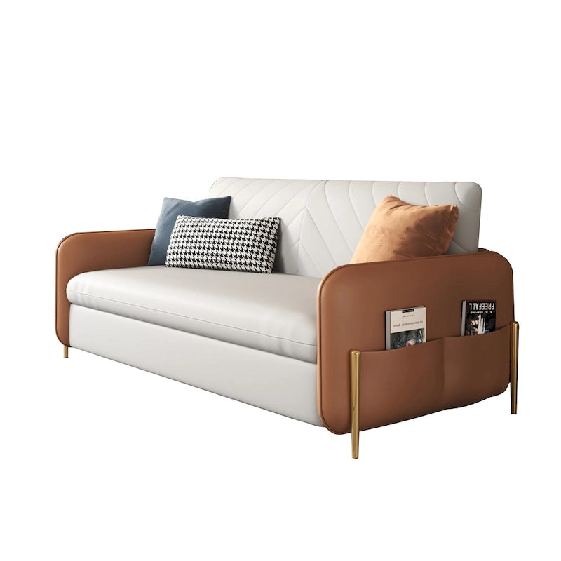 67 in. Width Modern Pull Out Queen Size Sofa Bed